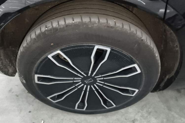 Used  07 2024 Pro Pure Electric Version
