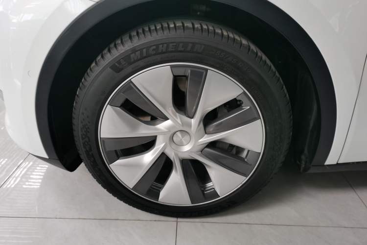 Used Tesla Model Y 2021 Standard Range Rear-Wheel Drive Version

