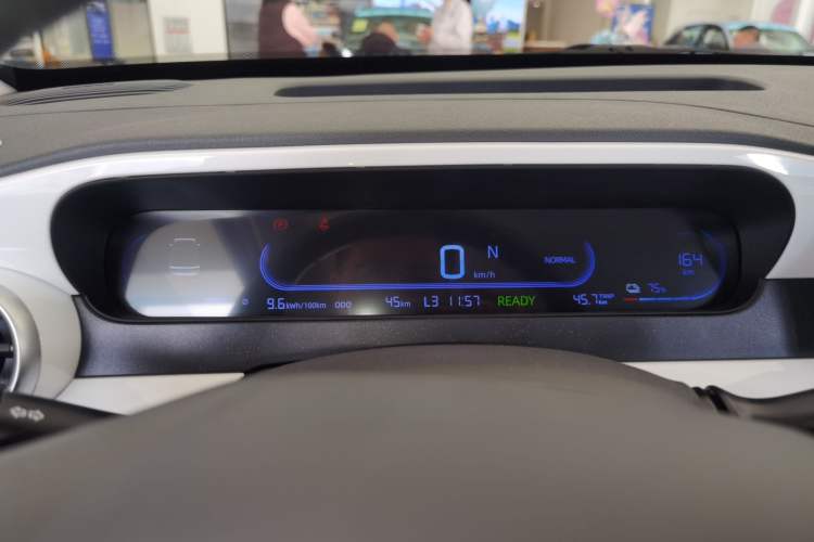 Used  Panda 2025 210km Panda Kart
