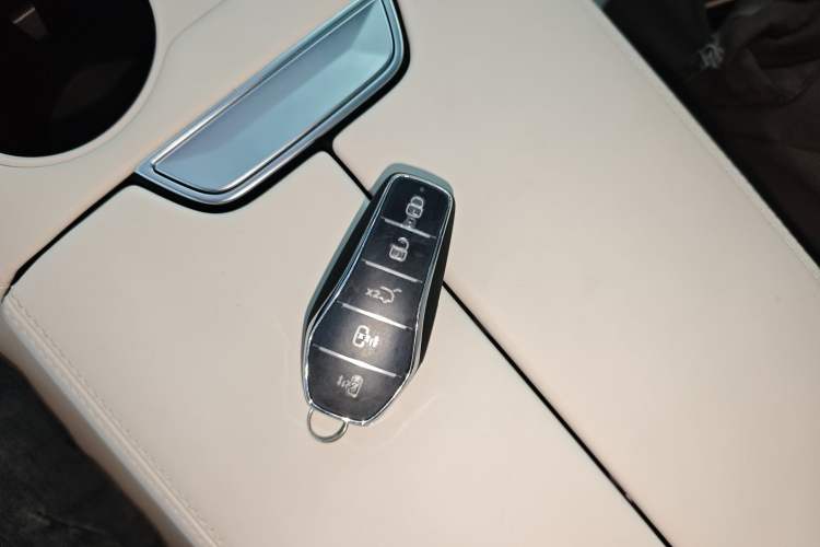 Used BYD Xia 2025 DM-i 1.5T 180km Excellence Model
