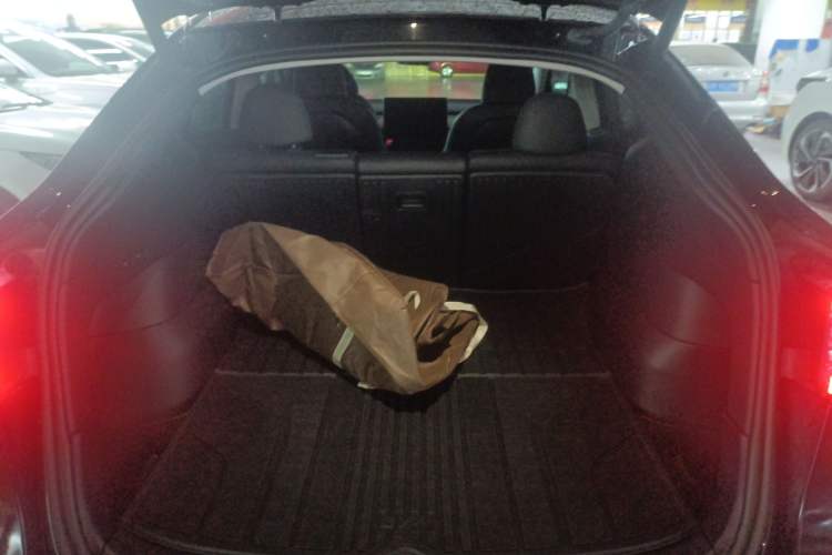 Used Tesla Model Y 2022 Revised Version Long-Range All-Wheel Drive
