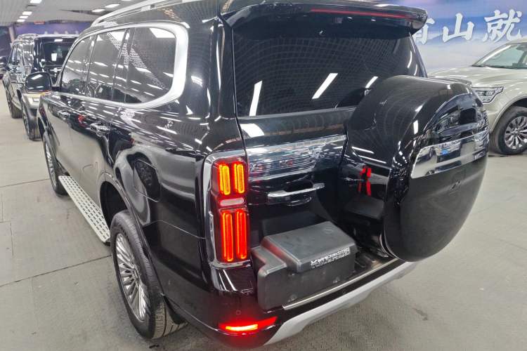 Used Tank 500 New Energy 2025 Hi4-Z
