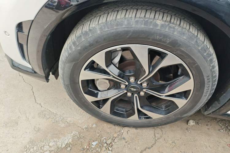 Used Ford Mustang Mach-E 2021 AION Y Plus Rear-Drive Luxury Edition (Long Range)
