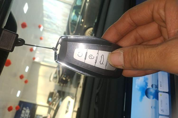 Used Geely Auto Monjaro L 2024 2.0TD DCT EVO Two-Wheel Drive Long-Range Version