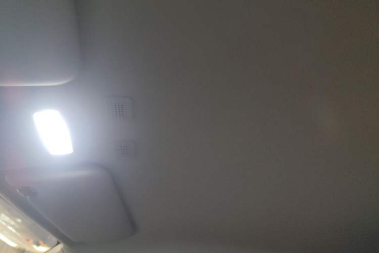 Used  Panda 2024 Panda Mini 200km Endurance Bear
