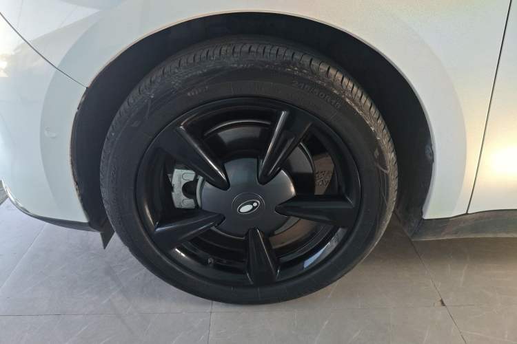 Used ORA Good Cat 2021 400km Standard Range Athena Edition Lithium-Ion Battery
