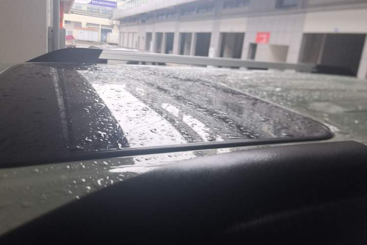 Used Tank 300 2024 2.0T Crosser
