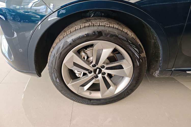 Used Wey Mocha New Energy 2024 Hi4 Four-Wheel Drive Long-Range Version