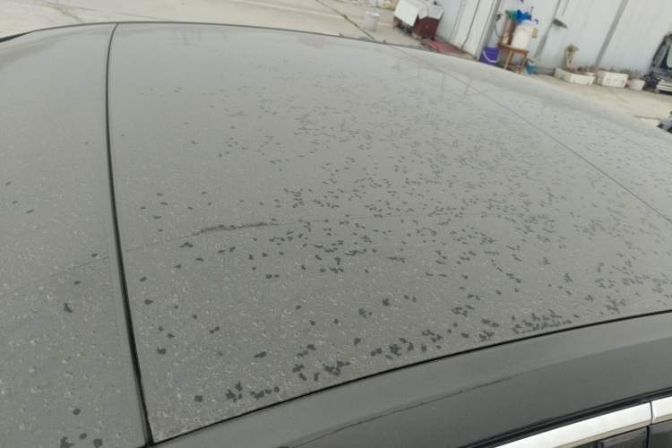 Used Audi A6L 2019 40 TFSI Luxury Prestige Edition
