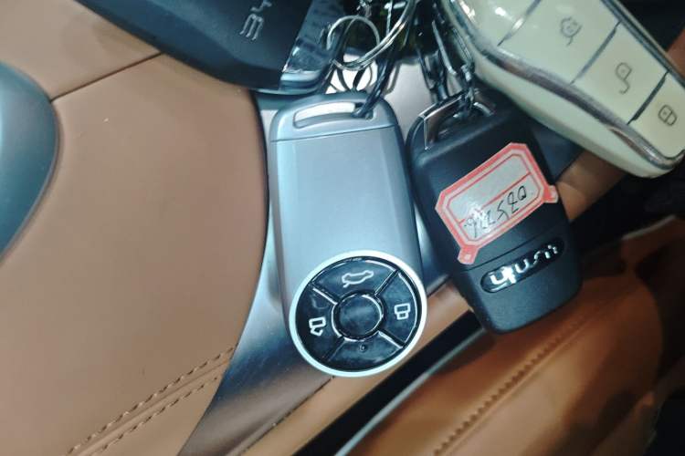 Used ORA Lightning Cat 2022 555 km Luxury Edition
