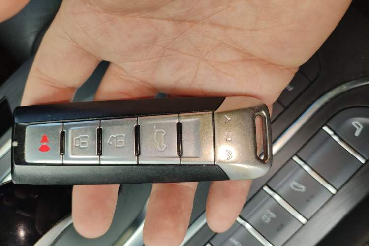 Used Wey VV6 2019 2.0T Two-Wheel-Drive Flagship Version China VI Standard
