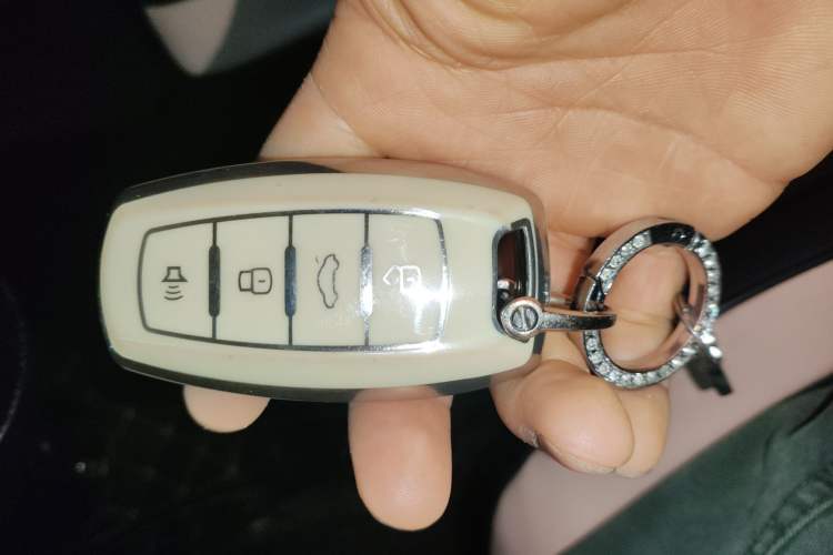 Used ORA Black Cat 2021 301 km Basic Version
