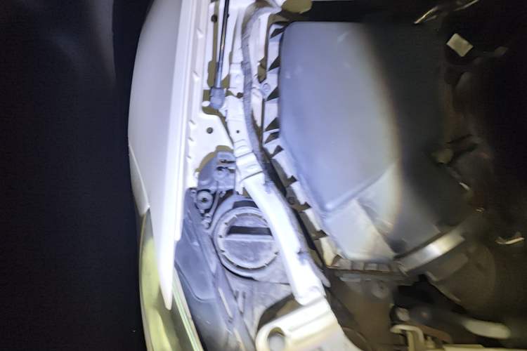 Used Buick Regal 2019 20T Elite Version China V Standard
