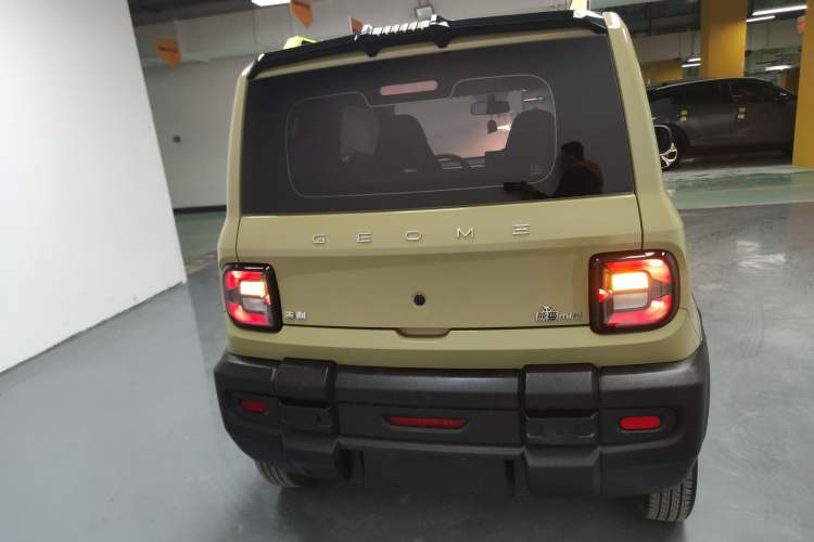 Used  Panda 2024 200km Panda Rider
