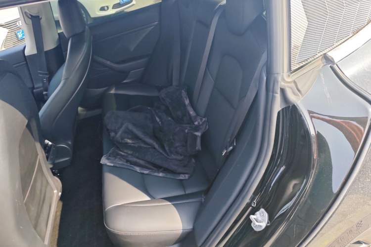 Used Tesla Model 3 2020 Standard Range Rear-Wheel Drive Upgraded Version