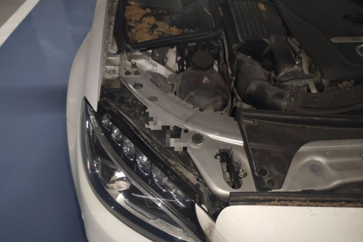 Used Mercedes-Benz C-Class 2017 C 200 L Sport Edition