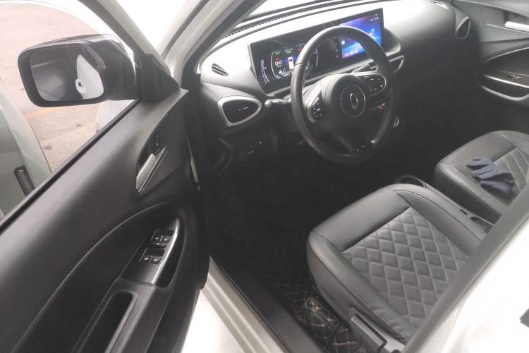 Used ORA White Cat 2020 401 km Long-Range Version