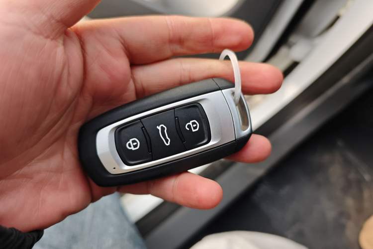 Used  Panda 2025 210km Panda Rider
