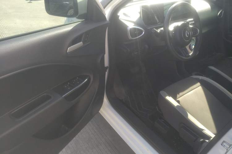 Used ORA White Cat 2020 360 km Luxury Version
