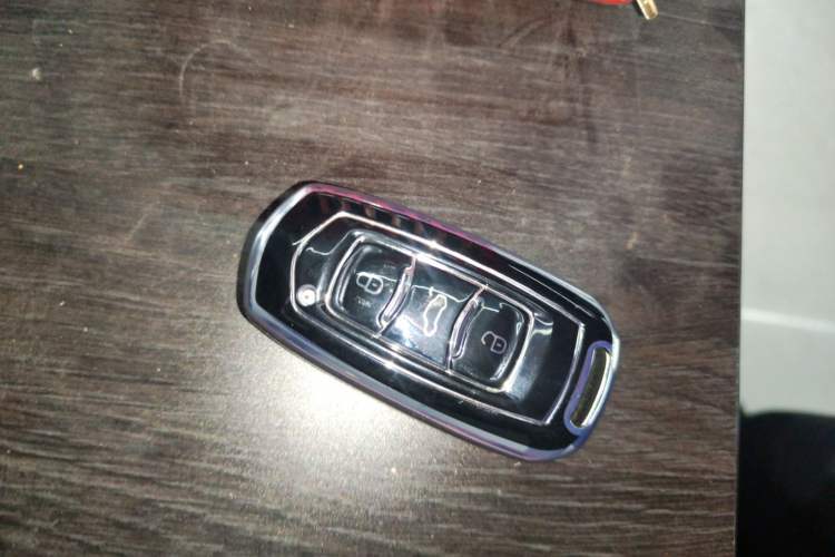 Used  Panda 2025 210 km – Yuanqi Bear