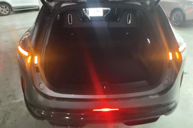 Used  07 2024 Max Extended-Range Edition
