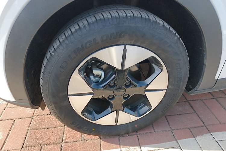 Used  Geome 2025 UP 410km Exploration Edition
