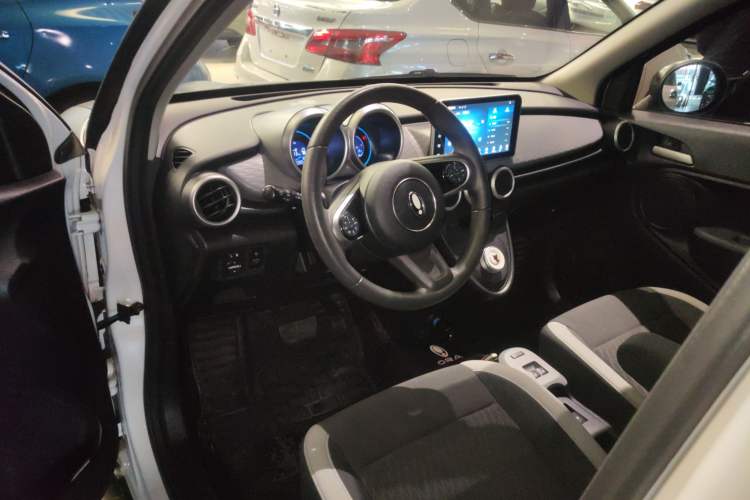 Used ORA Black Cat 2022 Updated Version 301 km Cute Pet Edition Lithium Iron Phosphate