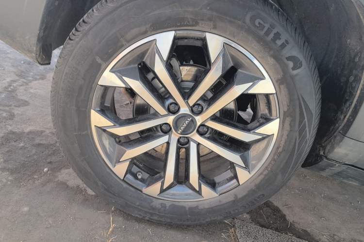 Used Haval DARGO 2024 1.5T DCT Border Collie Edition