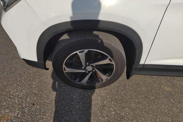 Used FORTHING T5 2020 1.5T Automatic Luxury Model China VI Standard
