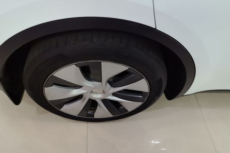 Used Tesla Model Y 2021 Standard Range Rear-Wheel Drive Version
