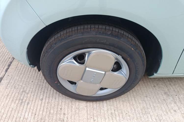 Used  Panda 2024 Panda Mini 200km Endurance Bear
