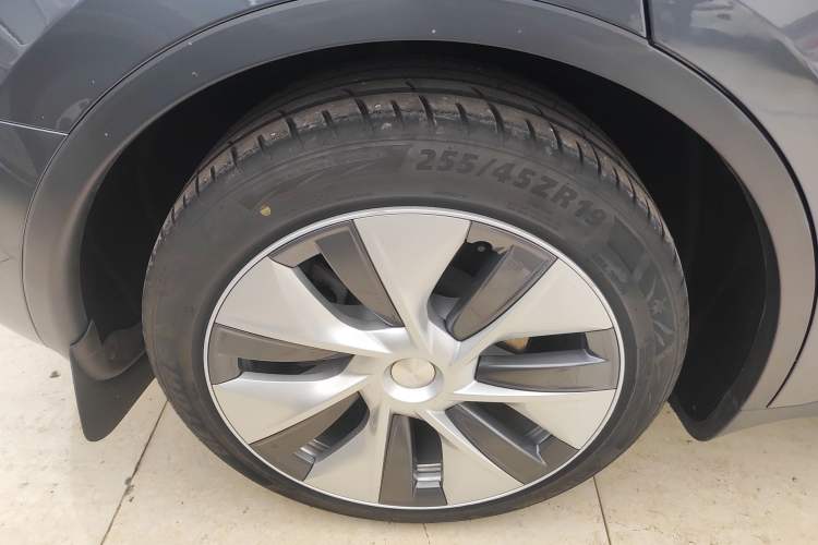 Used Tesla Model Y 2021 Standard Range Rear-Wheel Drive Version