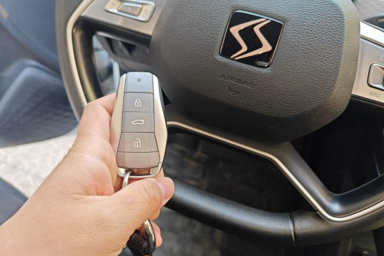 Used SOL E10X 2022 Flower Fairy Design Four-Leaf Clover