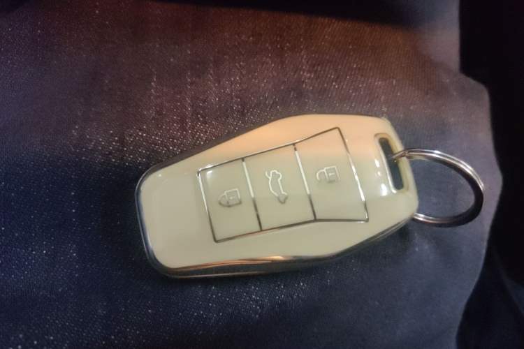 Used SOL E10X 2022 Flower Fairy Design Four-Leaf Clover
