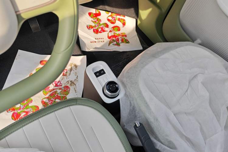 Used  Panda 2025 210km Panda Rider
