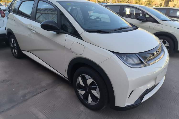 Used BYD Dolphin 2025 420km Free Edition