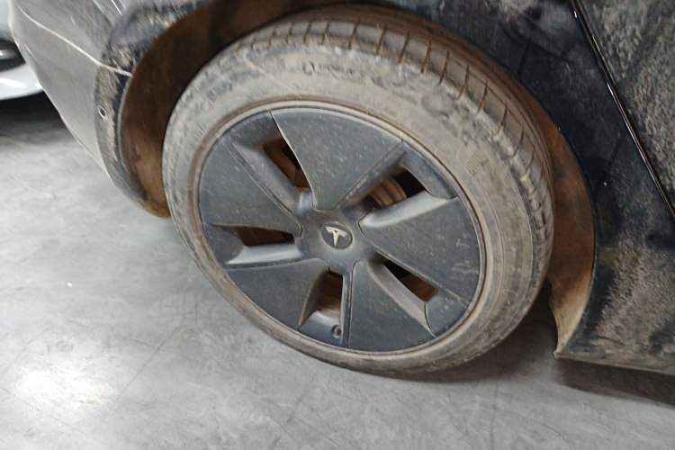 Used Tesla Model 3 2021 Revised Version Standard Range Rear-Wheel Drive Upgraded Edition 3D1
