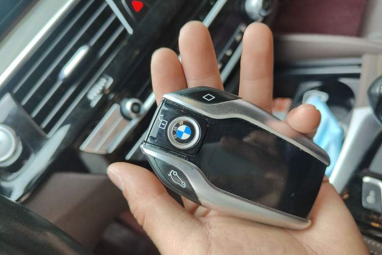 Used BMW 5 Series New Energy 2019 530Le Luxury Package
