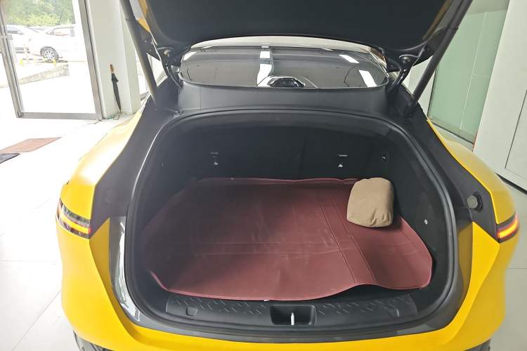 Used  06 2025 Ultra Pure Electric Edition
