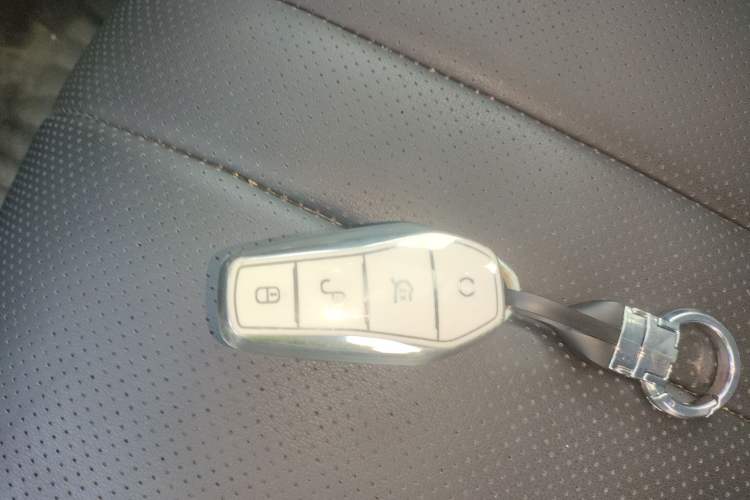 Used BYD Sealion 05 DM-i 2025 DM-i Smart Drive 115KM Flagship Model
