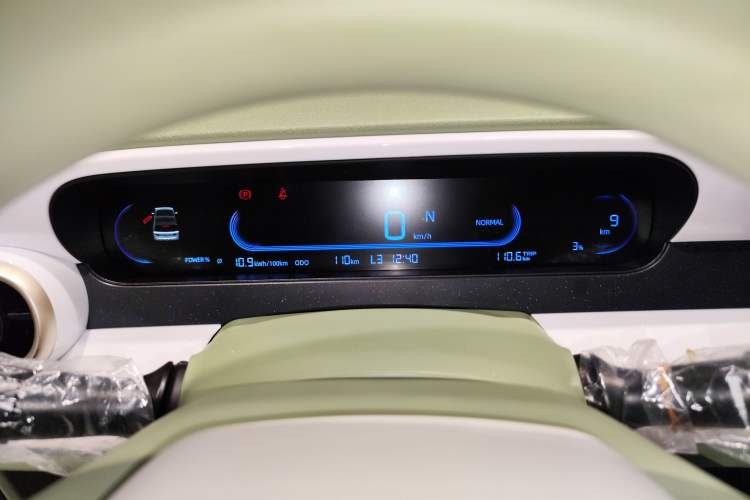 Used  Panda 2025 210km Panda Rider
