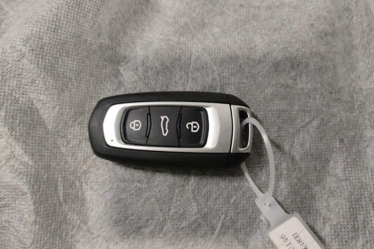 Used  Panda 2024 Panda Mini 200km Dragon Edition