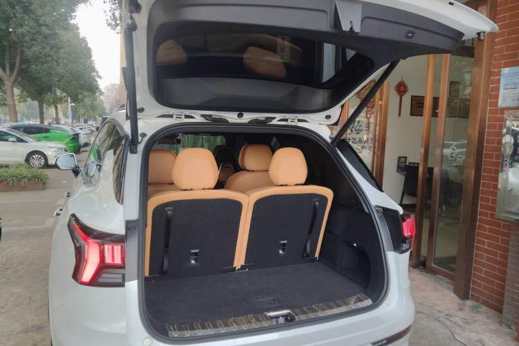 Used Lynk & Co 09 EM-P 2023 2.0TD EM-P Long-Range Version PM Six-Seater
