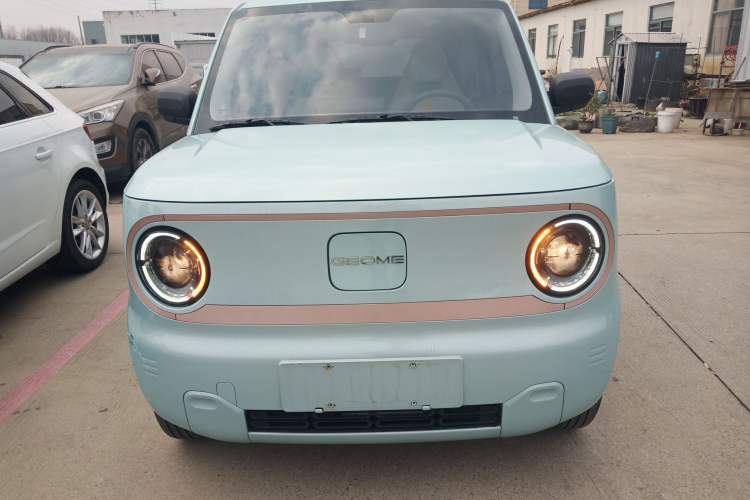 Used  Panda 2024 Panda Mini 200km Endurance Bear
