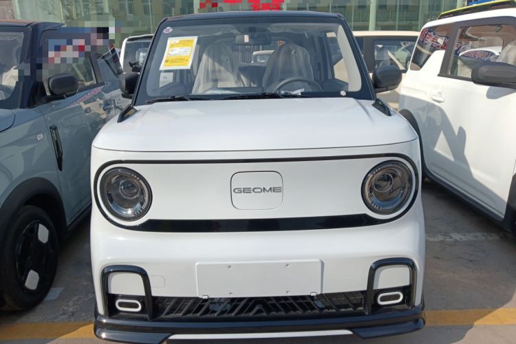 Used  Panda 2025 210km Panda Kart