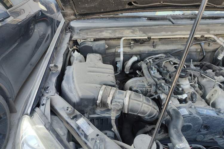 Used Great Wall Wingle 5 2017 2.0T European Version Diesel Two-Wheel Drive Advanced Large Double-Cab GW4D20E
