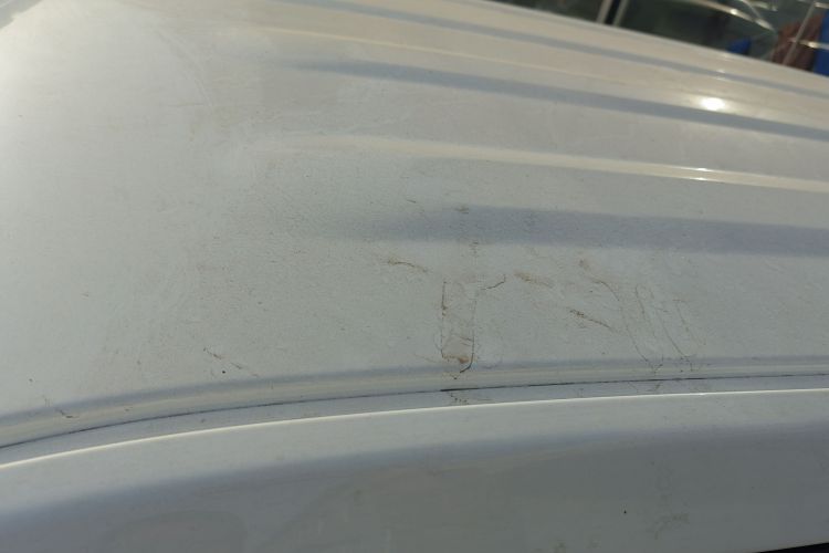 Used  Panda 2024 Panda Mini 200km Endurance Bear