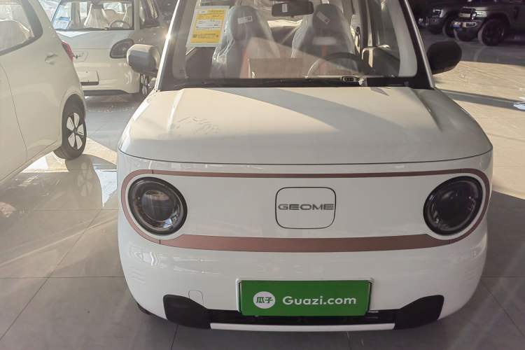 Used  Panda 2024 Panda Mini 200km Endurance Bear
