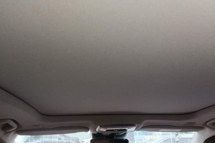 Used Hongqi H9 2020 2.0T Smart Connect Flagship Edition
