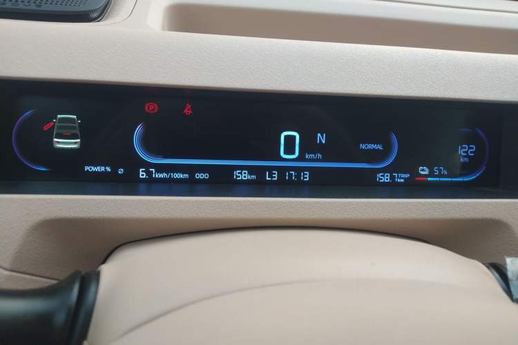 Used  Panda 2024 Panda Mini 200km Endurance Bear
